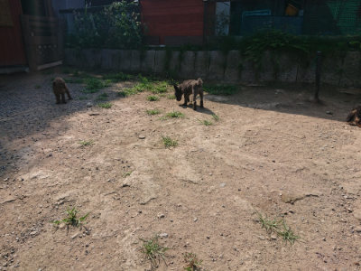 f:id:roukenhome-ann:20190804183026j:plain