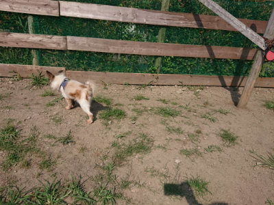 f:id:roukenhome-ann:20190804183033j:plain