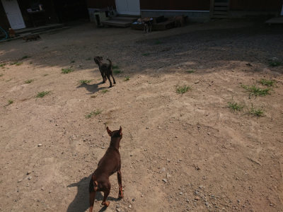 f:id:roukenhome-ann:20190804183039j:plain