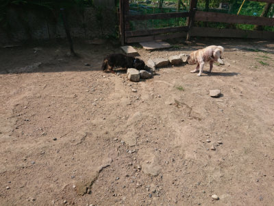f:id:roukenhome-ann:20190804183050j:plain