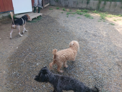 f:id:roukenhome-ann:20190804183113j:plain