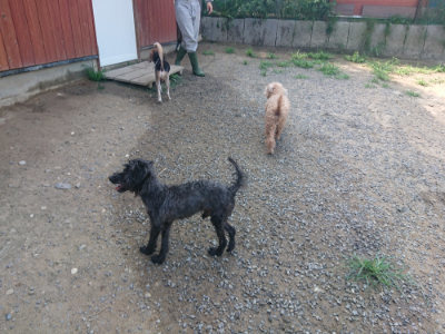 f:id:roukenhome-ann:20190804183118j:plain