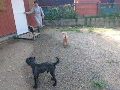 f:id:roukenhome-ann:20190804183125j:plain