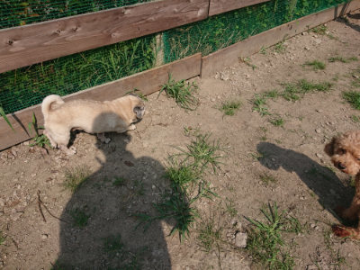 f:id:roukenhome-ann:20190804183138j:plain