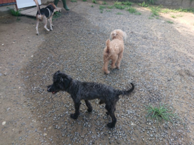 f:id:roukenhome-ann:20190804183145j:plain