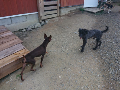 f:id:roukenhome-ann:20190804183203j:plain