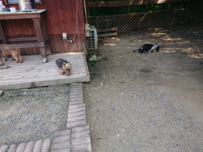 f:id:roukenhome-ann:20190804183217j:plain