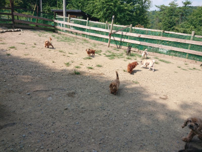 f:id:roukenhome-ann:20190804183224j:plain