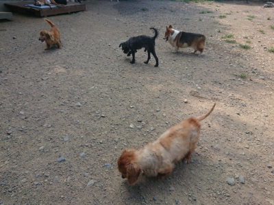 f:id:roukenhome-ann:20190804184157j:plain