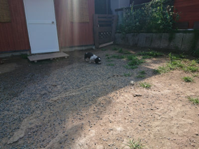 f:id:roukenhome-ann:20190804184205j:plain