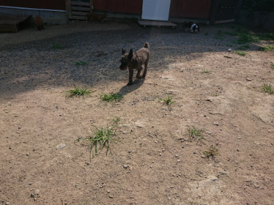 f:id:roukenhome-ann:20190804184219j:plain