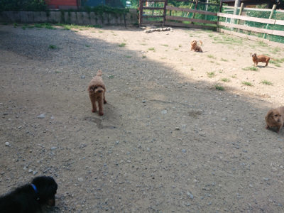 f:id:roukenhome-ann:20190804184229j:plain