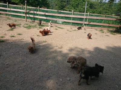f:id:roukenhome-ann:20190804184235j:plain