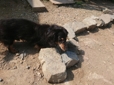 f:id:roukenhome-ann:20190804184242j:plain