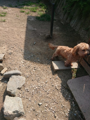 f:id:roukenhome-ann:20190804184248j:plain