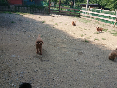 f:id:roukenhome-ann:20190804184252j:plain