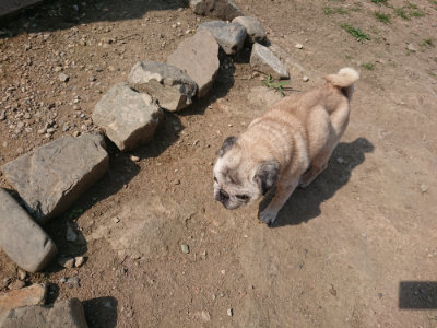 f:id:roukenhome-ann:20190804184258j:plain