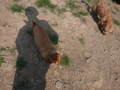 f:id:roukenhome-ann:20190804184308j:plain