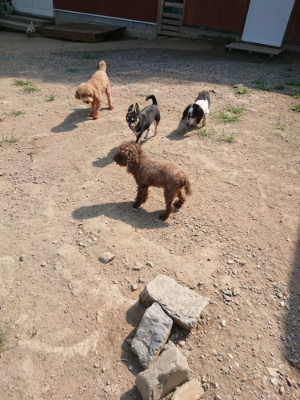 f:id:roukenhome-ann:20190804184321j:plain