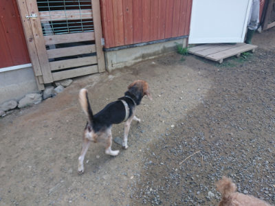 f:id:roukenhome-ann:20190804184335j:plain