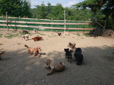 f:id:roukenhome-ann:20190804184340j:plain