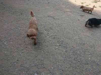 f:id:roukenhome-ann:20190804184349j:plain
