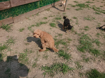 f:id:roukenhome-ann:20190804184357j:plain