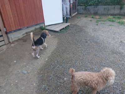 f:id:roukenhome-ann:20190804184414j:plain