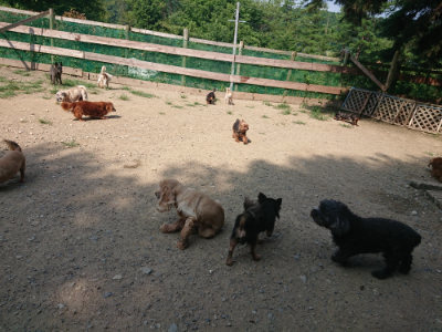 f:id:roukenhome-ann:20190804184420j:plain
