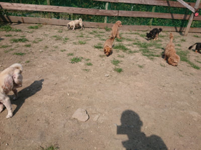 f:id:roukenhome-ann:20190804184427j:plain