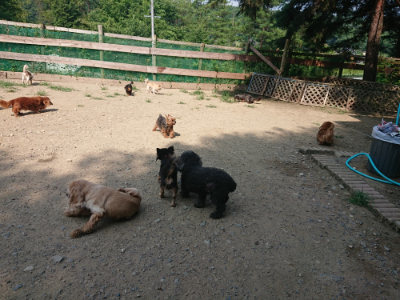 f:id:roukenhome-ann:20190804184456j:plain