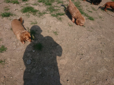 f:id:roukenhome-ann:20190804184507j:plain