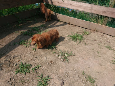 f:id:roukenhome-ann:20190804184514j:plain