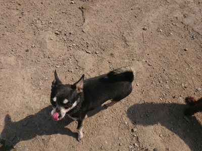 f:id:roukenhome-ann:20190804184521j:plain