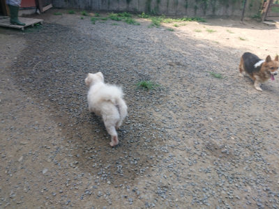 f:id:roukenhome-ann:20190804184554j:plain