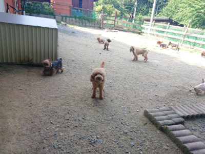 f:id:roukenhome-ann:20190804184603j:plain