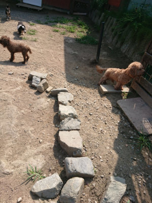 f:id:roukenhome-ann:20190804184635j:plain