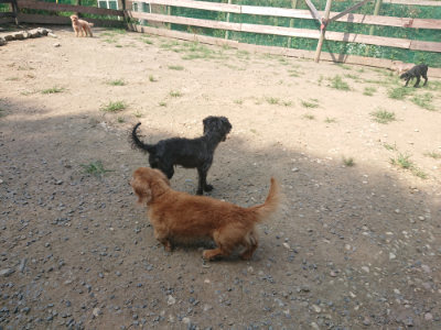 f:id:roukenhome-ann:20190804184708j:plain