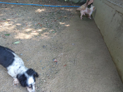 f:id:roukenhome-ann:20190804184727j:plain