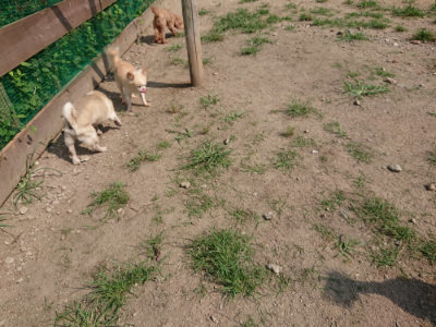 f:id:roukenhome-ann:20190804184749j:plain