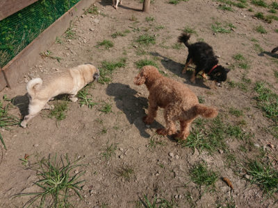 f:id:roukenhome-ann:20190804184809j:plain