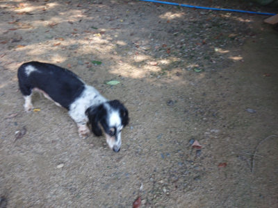 f:id:roukenhome-ann:20190804184838j:plain