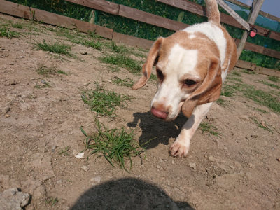 f:id:roukenhome-ann:20190804184902j:plain