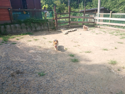 f:id:roukenhome-ann:20190804184925j:plain