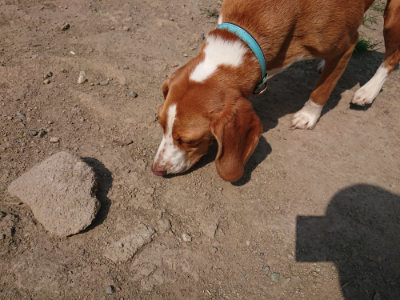 f:id:roukenhome-ann:20190804184955j:plain