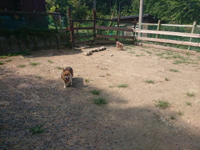 f:id:roukenhome-ann:20190804185018j:plain