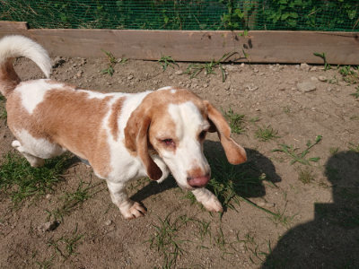 f:id:roukenhome-ann:20190804185109j:plain