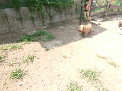 f:id:roukenhome-ann:20190804185137j:plain