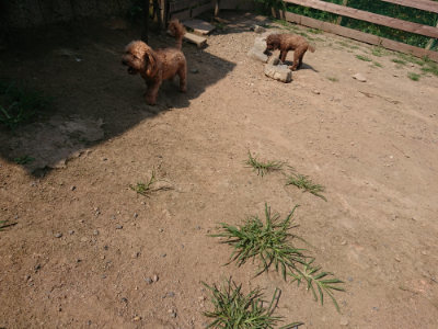 f:id:roukenhome-ann:20190804185147j:plain