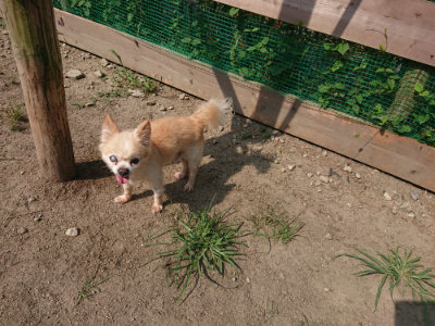 f:id:roukenhome-ann:20190804204103j:plain